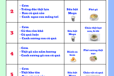 Thực đơn tuần 4 tháng 12 năm 2025