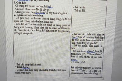 KH NDCSGD CHỦ ĐỀ THẾ GIỚI ĐỘNG VẬT – khối 4 tuổi